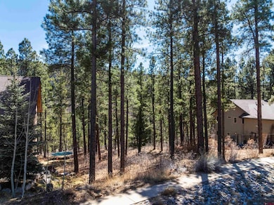 143 El Diente Dr, Durango, CO 81301 - photo 2