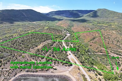 9681 56 2 10 Rd, Molina, CO 81646 - photo 5