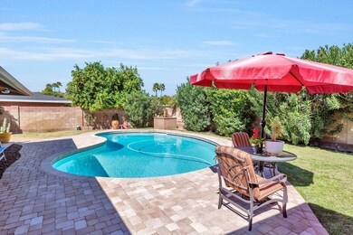 Beautiful remodeled Pool