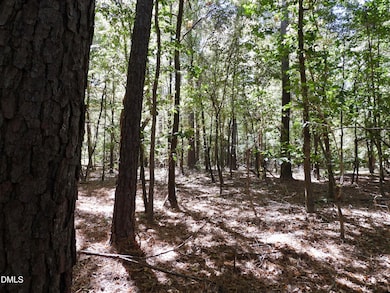 263 Russell Chapel Church Rd, Pittsboro, NC 27312 - photo 6