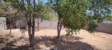 View of the back yard