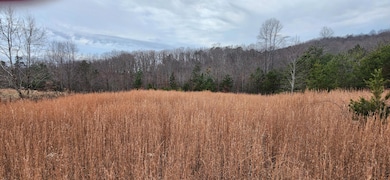 Lot 4 Sontag Rd, Rocky Mount, VA 24151 - photo 5