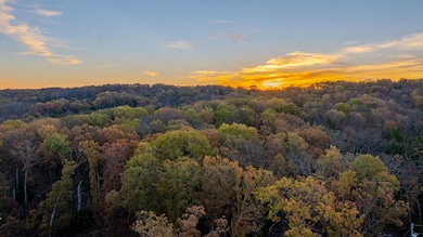 5785 Evergreen Loop, Leslie, MO 63056 - photo 3