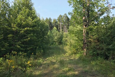 IMG_0513