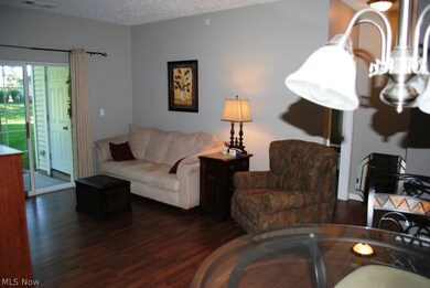 602 Aqua Marine Blvd unit 2, Avon Lake, OH 44012 - photo 3
