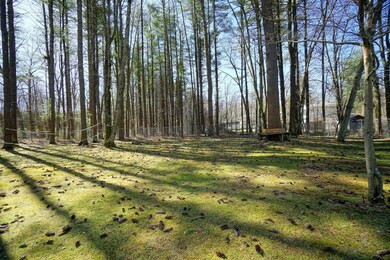 143 Litchfield Rd, Londonderry, NH 03053 - photo 5