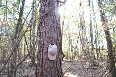 0 Hwy 82, Reform, AL 35481 - photo 7