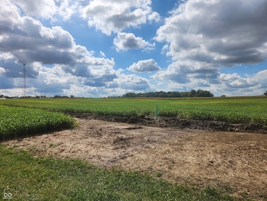 view of local wilderness with rural landscape and farmland
