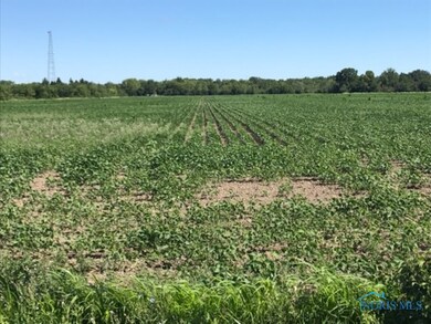 0 Devils Hole Rd unit 6034482, Pemberville, OH 43450 - photo 3