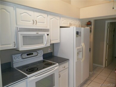 1405 N Man o War Dr, Hernando, FL 34442 - photo 7