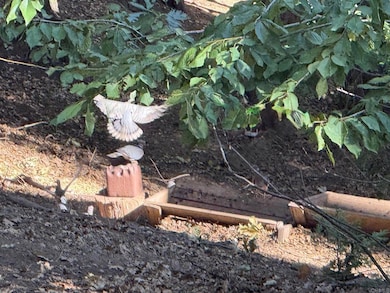 32811 Birch Hill Rd, Palomar Mountain, CA 92060 - photo 4