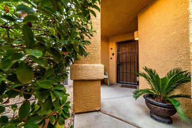 6654 E Splendid Ln Entry Patio