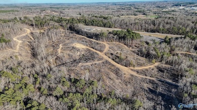 32 Acres Hwy 43, Hamilton, AL 35570 - photo 2