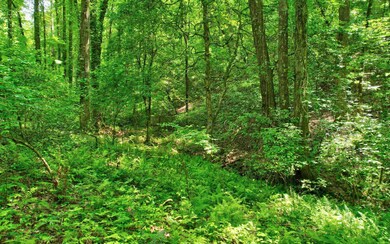 Additional View