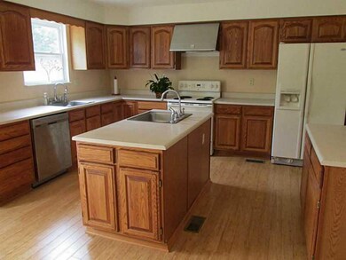 Kitchen. 2 sinks. Commercial grade hood over stove