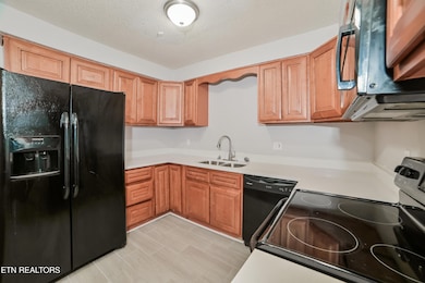 2305 Ridgecrest Dr, Knoxville, TN 37918 - photo 6