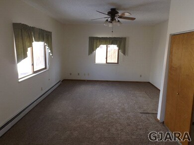Large Family Room with New Carpet, fan and windows