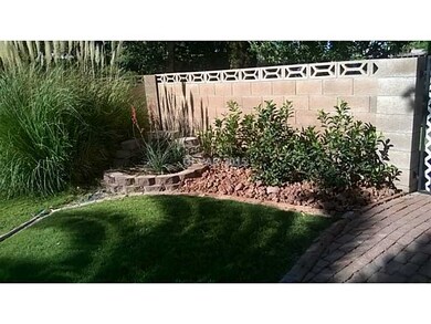 Yard/Garden. Cool and green under the trees