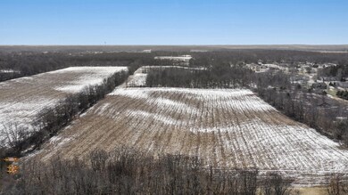 DJI_0239