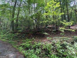 0 Ts Jarrard Rd Unit Tract 3 #192 unit 10655414, Dahlonega, GA 30533 - photo 2