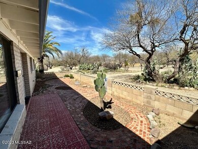 IMG_0353