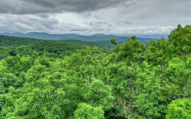 Additional View