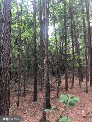 14686 Dry Bridge Rd, Ruther Glen, VA 22546 - photo 4