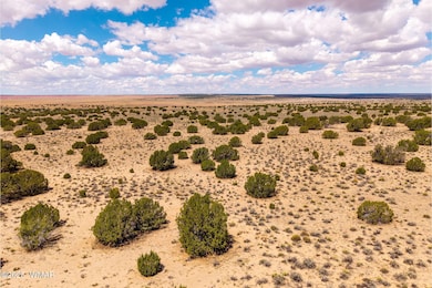 0 Red Sky Ranch Lot 384 unit 257799, St. Johns, AZ 85936 - photo 3