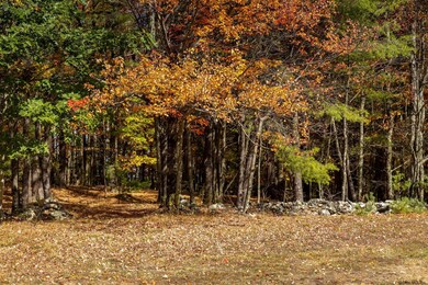 0 Deer Ridge Rd unit 202030495, Chatham, NY 12060 - photo 6