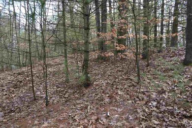 114 Ruggles Rd, Saratoga Springs, NY 12866 - photo 4