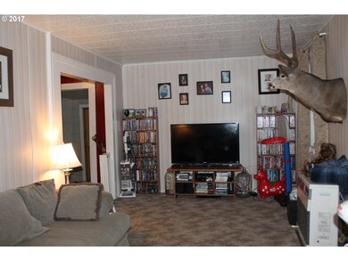 79 W Riverside, Mount Vernon, OR 97865 - photo 5