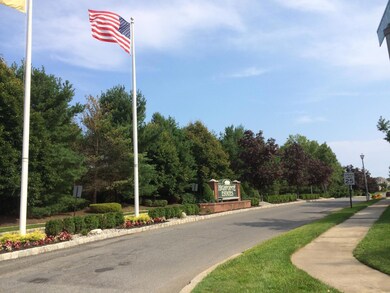 entry flags