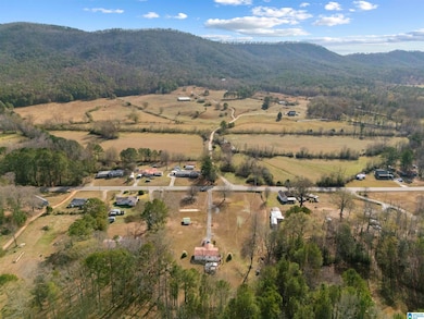 16067 Highway 9, Piedmont, AL 36272 - photo 3