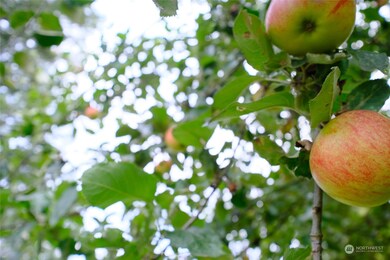 1944 Rice Rd, Chehalis, WA 98532 - photo 7