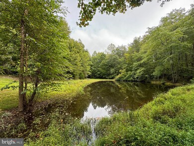 Lot 0110 Mountain Track Rd, Orange, VA 22960 - photo 4