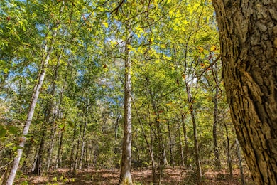 00 County Road 857, Nacogdoches, TX 75964 - photo 5