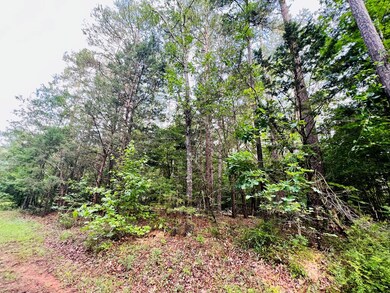 WOODED AREA