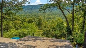 578 Otter Creek Dr, Gerrardstown, WV 25420 - photo 3