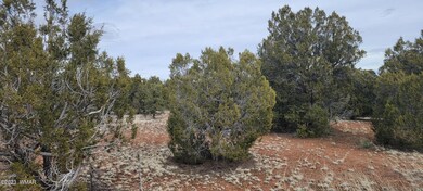 0 Power Line Rd unit 244852, Overgaard, AZ 85933 - photo 4