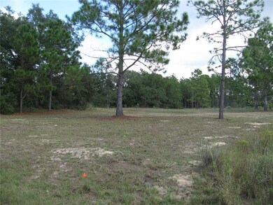0 Malauka Loop unit G5027921, Ocklawaha, FL 32179 - photo 2