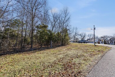 Lot 4 Midview Dr, Kimberling City, MO 65686 - photo 7