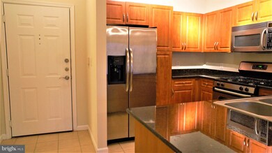 Bryson At Woodland Park unit 402, Herndon, VA 20171 - photo 5