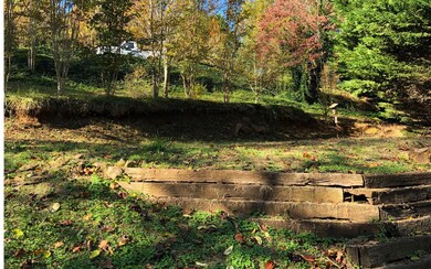 Additional View