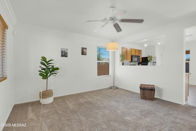 4284 E Parting Waters Way Tucson AZ 8571