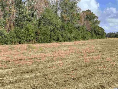 B tract State Highway 65 unit Lot 2, Conway, SC 29526 - photo 4