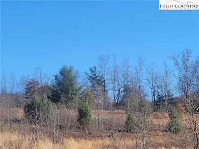 Upper Portion of Property. Level Building Site.
