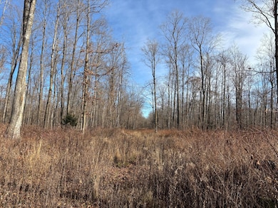 OFF Peterson Rd, Antigo, WI 54409 - photo 4