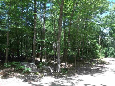 00 Silver St, Middleton, NH 03887 - photo 2