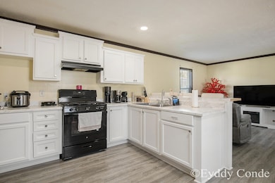 565 Sluyter St SE, Grand Rapids, MI 49548 - photo 5