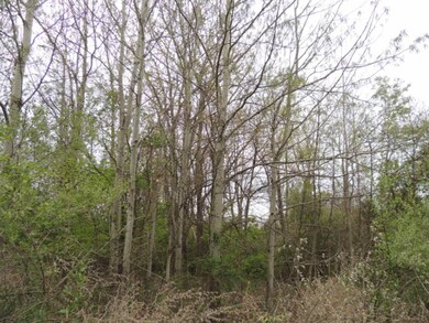 0 68th St, South Haven, MI 49090 - photo 3